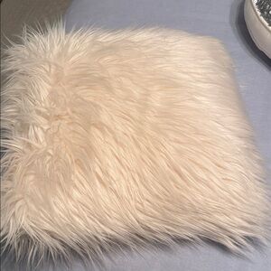 Pottery Barn Teen  Plush Faux Fur Throw Pillow Cover